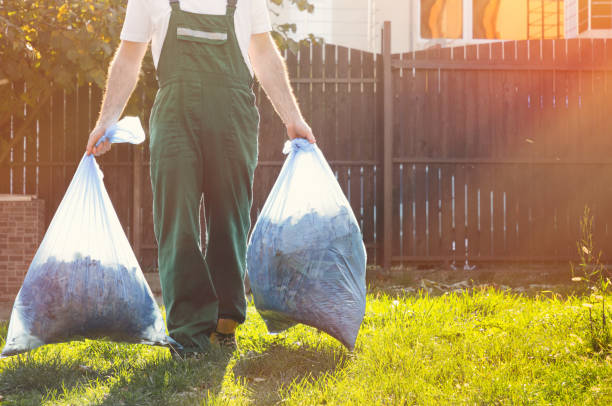 Best Office Junk Removal  in Lasalle, IL
