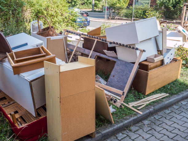 Best Household Junk Removal  in Lasalle, IL
