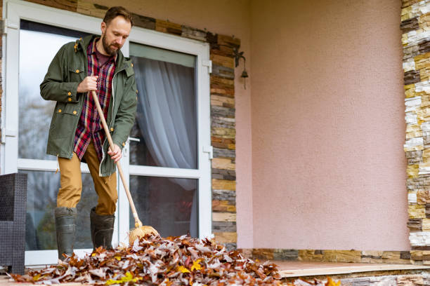 Best Commercial Cleanout Services  in Lasalle, IL
