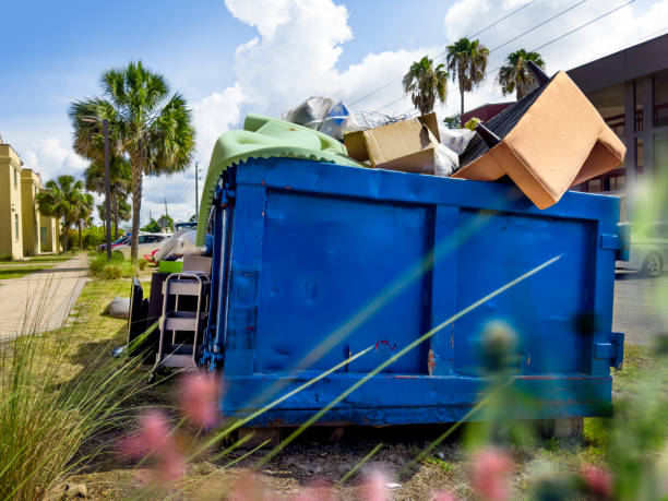Yard Cleanup Services in Lasalle, IL